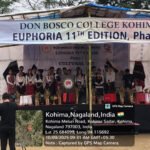 Euphoria 11 Edition Phase 1